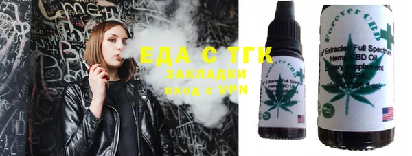 индика Кинешма