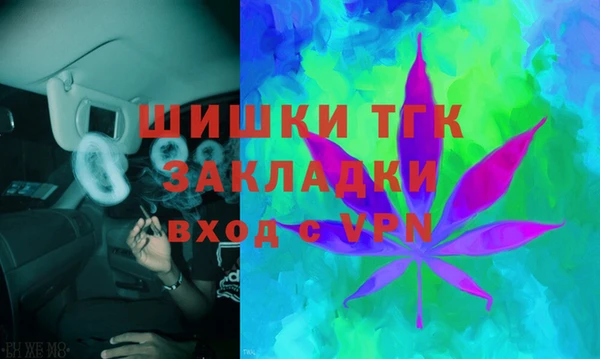 индика Аркадак