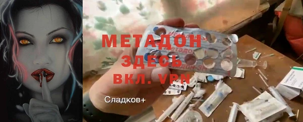 прущие грибы Армянск
