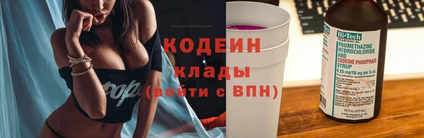 прущие грибы Армянск