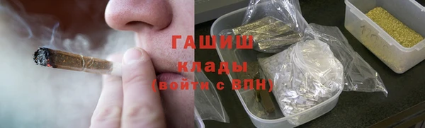 индика Аркадак