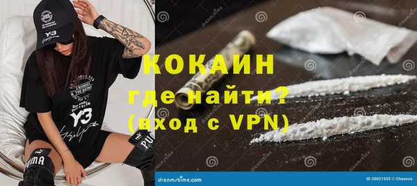 индика Аркадак