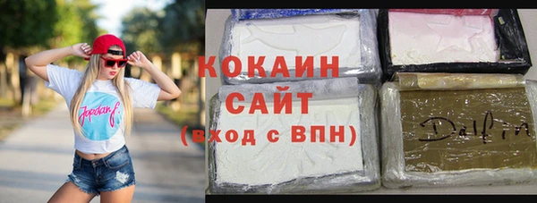 прущие грибы Армянск
