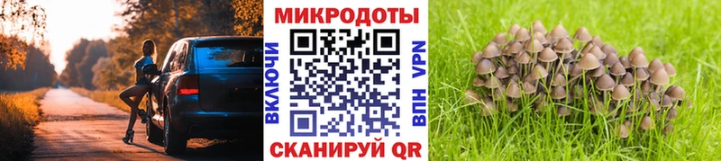 Псилоцибиновые грибы GOLDEN TEACHER  купить наркотик  Верхняя Салда 