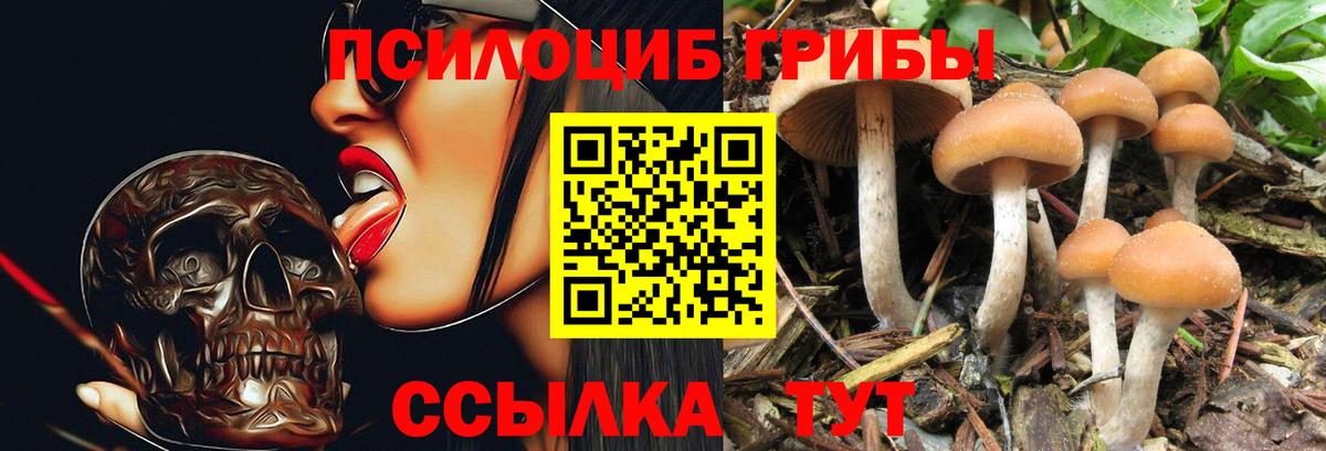 Верхняя Салда  Псилоцибиновые грибы ЛСД  Вход с VPN 
